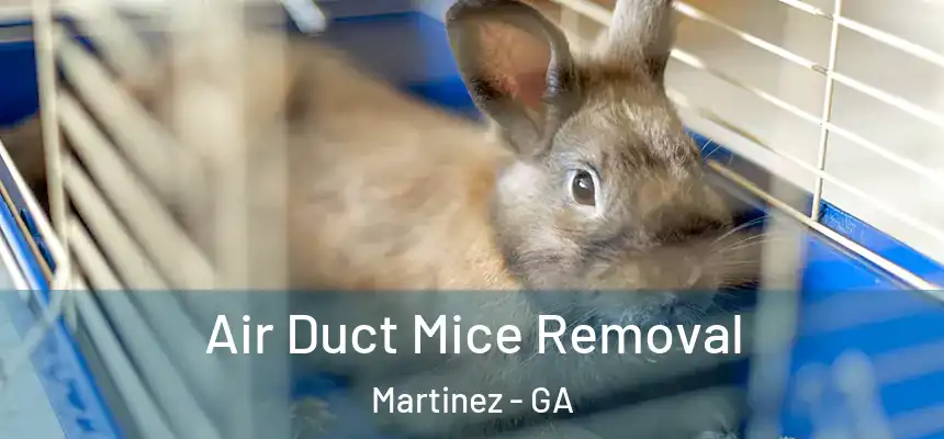  Air Duct Mice Removal Martinez - GA