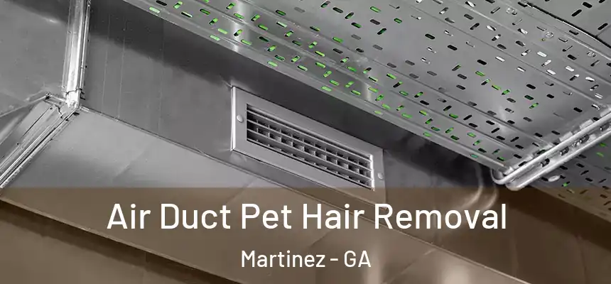  Air Duct Pet Hair Removal Martinez - GA