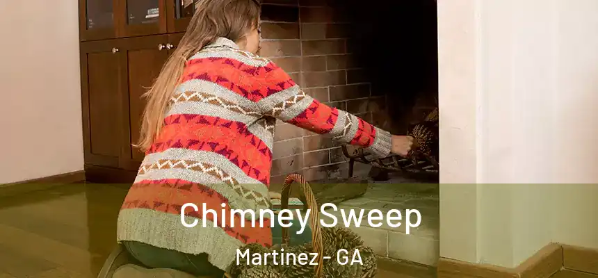  Chimney Sweep Martinez - GA