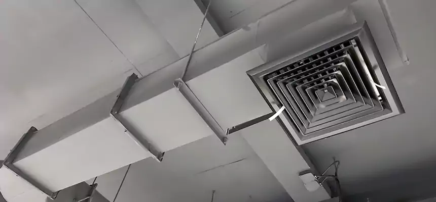 Our Pest Removal From Ducts Services in Martinez, GA