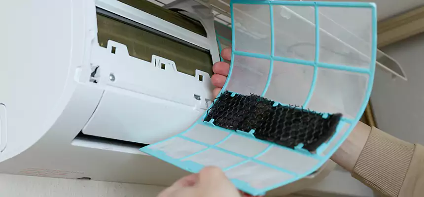 Gentle Ductwork Odor-Control Pet Dander Duct Cleaning in Martinez, GA