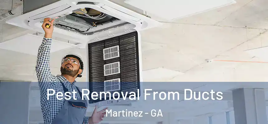  Pest Removal From Ducts Martinez - GA