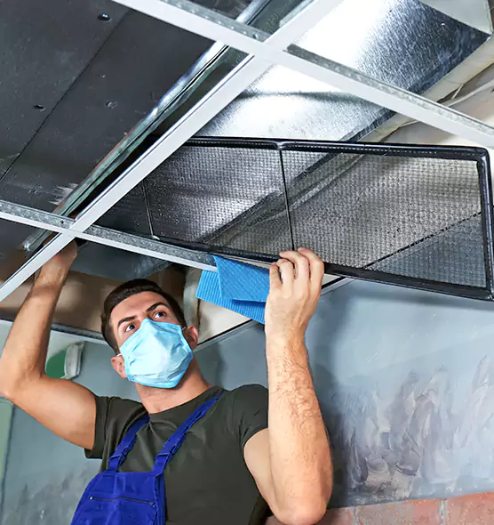 Professional Air Duct Pollen Cleaning in Martinez, GA