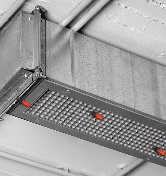 Affordable Insect Removal from Air Ducts in Martinez, GA