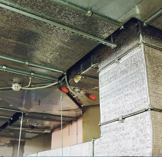 Why Homeowners & Businesses Trust Us Martinez, GA?